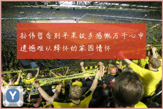孙伟哲告别平果故乡感慨万千心中遗憾难以释怀的家园情怀