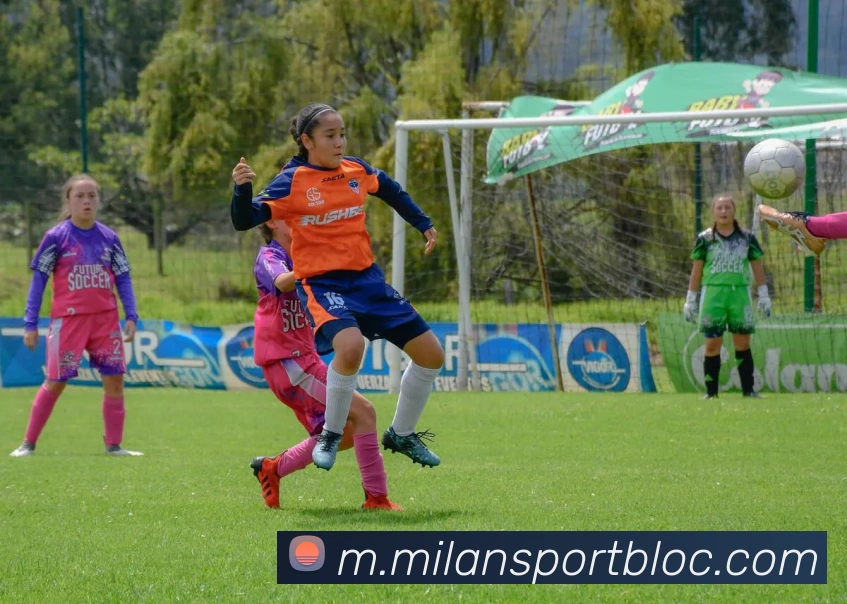 多媒体互动体验