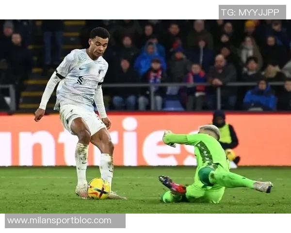 世欧预赛助攻榜揭晓佩剑与加克波领衔厄德高奥利塞维尔茨紧随其后